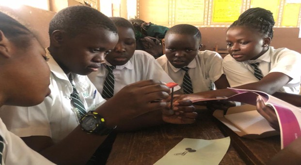 Group work in action at St Lawrence Primary School, Kigowa